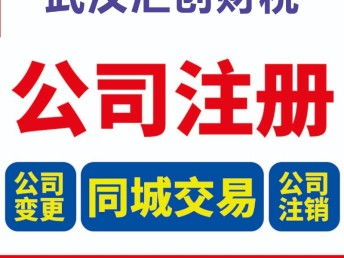高效便捷的武汉黄陂公司注销与工商代办服务